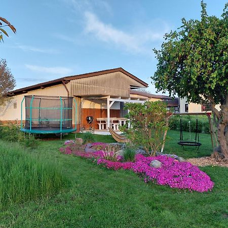 Ferienwohnung Alwine Goslar Ngoại thất bức ảnh